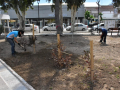 plaza-3