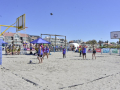 image_6483441