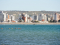 image_6483441-6