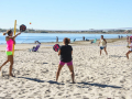 image_6483441-9