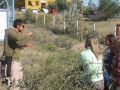 Caminando con científicos