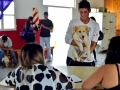 mascostas (6)