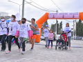 image_6483441-6