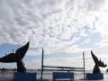8611e809-2e72-4762-9299-defdf3c6cf3f