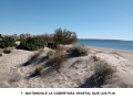 COMO-DEGRADAMOS-LOS-MEDANOS-1