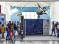 Ecocentro2