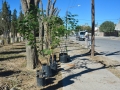 plazaesp4.jpg