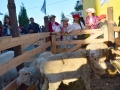 corde58.jpg