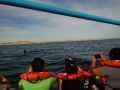 IMG-20181108-WA0040