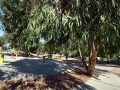 Plaza del Desembarco