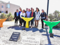 diversidad-1