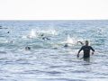 IMG-20260217-WA0031