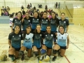 liga social de voley chicass