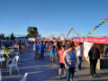 madryn-comestible-1