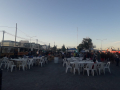 madryn-comestible-5