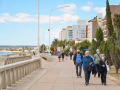 image_6483441-1