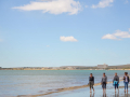 image_6483441-4