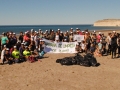 campaña-limpieza-1