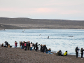 finde-largo-Madryn-2