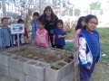 jardin 457 2