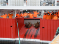 image_6483441-3