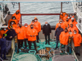 image_6483441-6