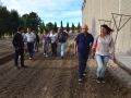1426540272cordero1.jpg