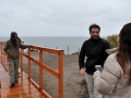 directrices gestion ambiental (19)