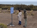 directrices gestion ambiental (6)