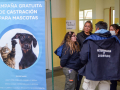 Castracion1