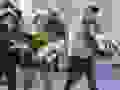 Trabajador3
