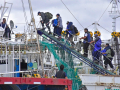 image_6483441-1