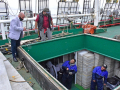 image_6483441-6