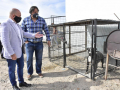 Veterinaria2