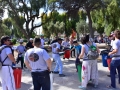 semana discapacidad (27)