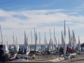 Copa Ballenas