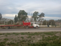 image_6483441-1