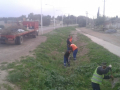 image_6483441-3