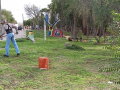 image_6483441-4
