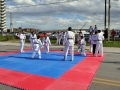 fiesta del deporte (21)