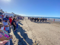 image_6483441-2