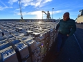 muelle2