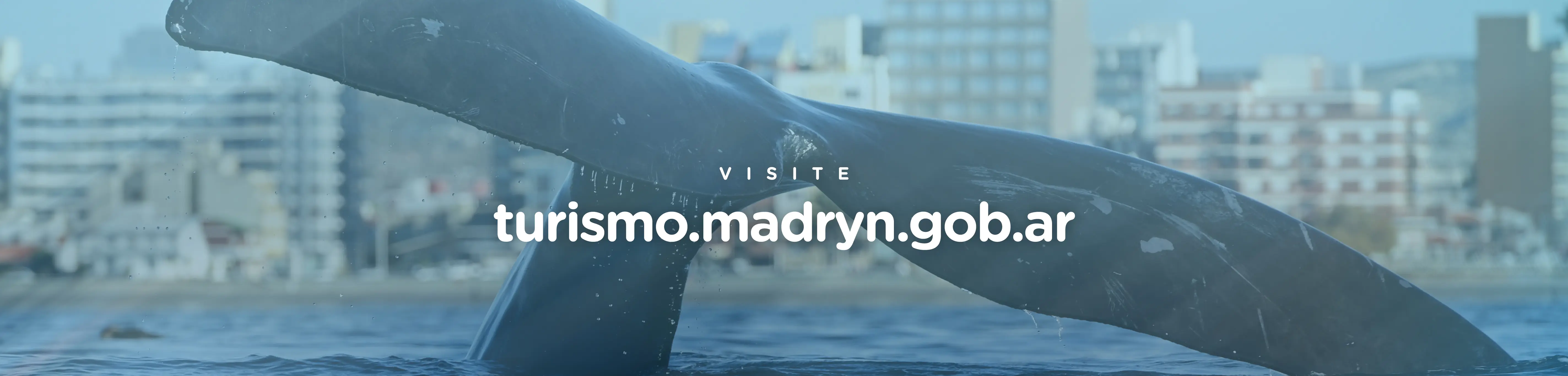 Turismo Puerto Madryn