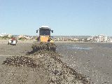 LIMPIEZA DE LA PLAYA