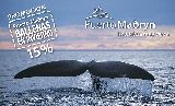 MADRYN PRESENTE EN EL LANZAMIENTO “NIEVE Y BALLENAS”