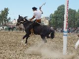 LA DESTREZA Y EL ESPECTÁCULO DE LAS JINETEADAS