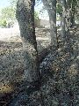 MANTENIMIENTO DE ESPACIOS PÚBLICOS