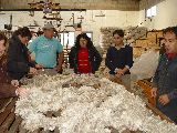 CURSO DE FORMACIÓN DE ACONDICIONADORES DE LANAS