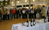 MADRYN AL PLATO II