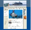 TURISMO MUNICIPAL ESTRENA WEB